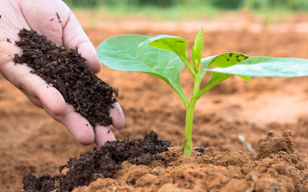 Distribution of Vermicompost Units