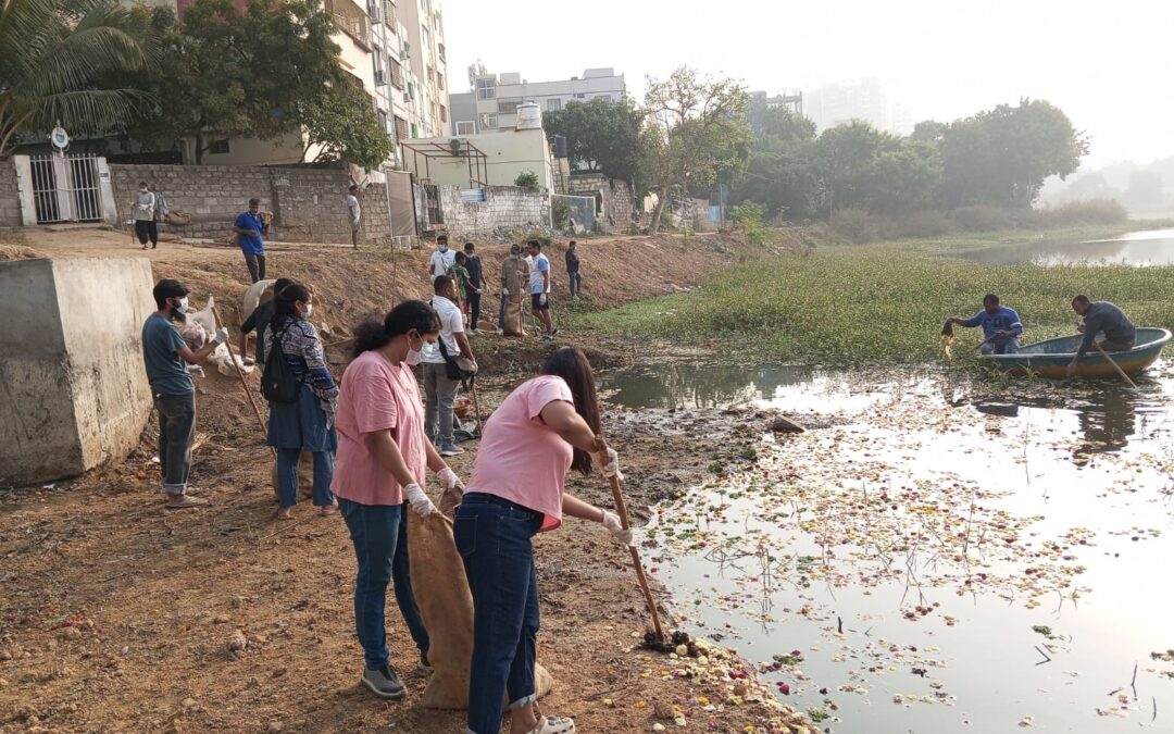 Lake Cleanup and Tree Plantation