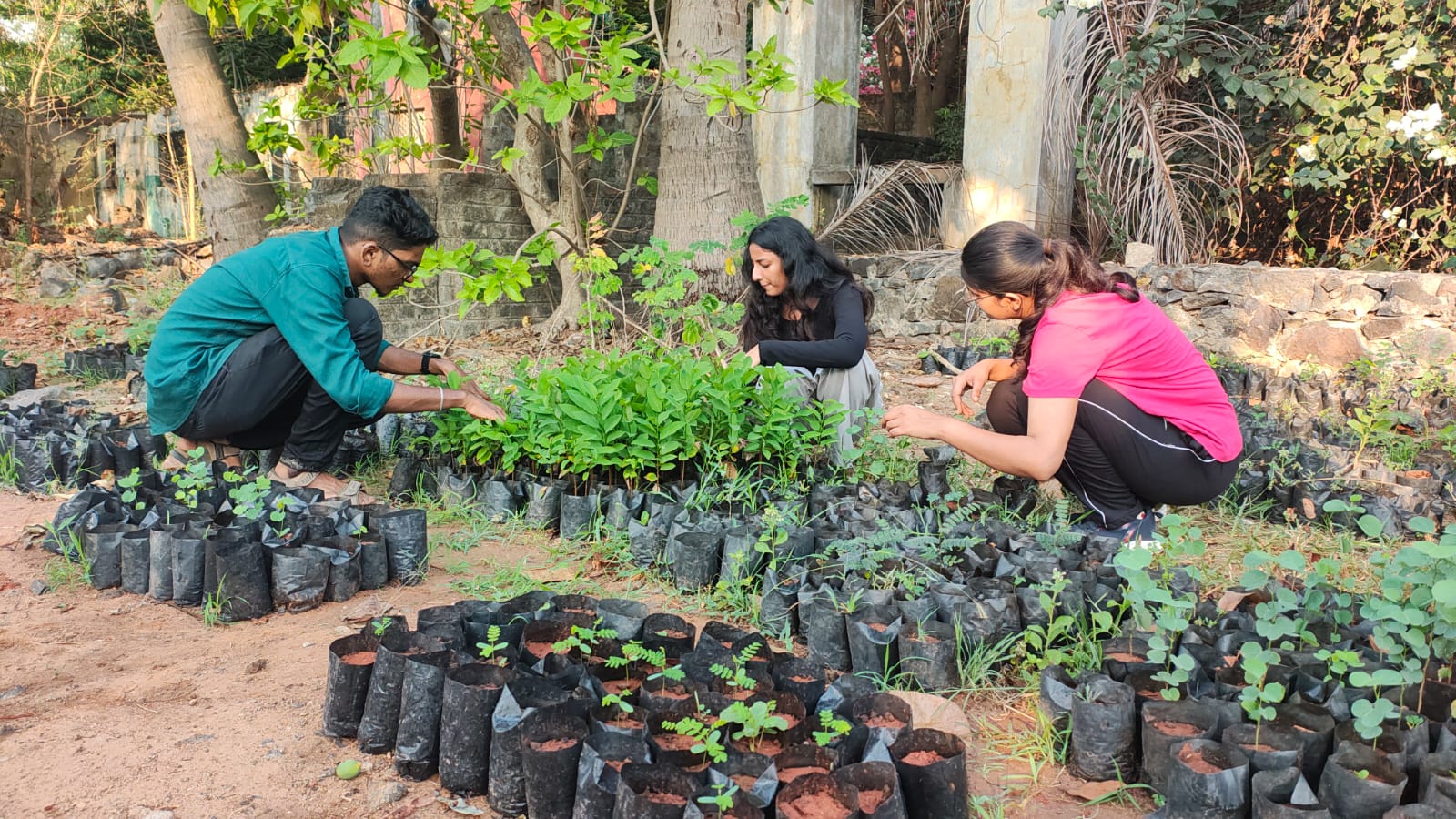 Join us in creating a greener and healthier environment for future generations. Your contribution, time, and passion towards nature can make a meaningful impact on our community and urban biodiversity.