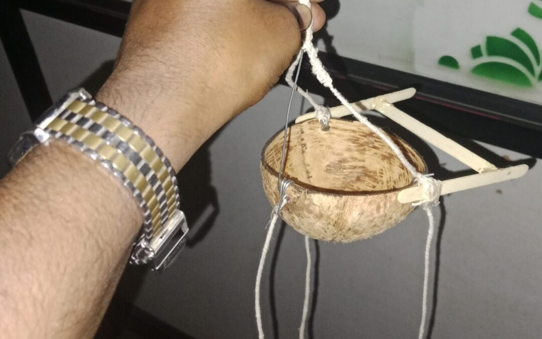 Eco Talks Along with Coconut shell bird feeders hanging
